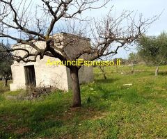 Affitto terreno edificabile mq8100 Privato