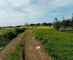 Affitto terreno edificabile mq8100 Privato