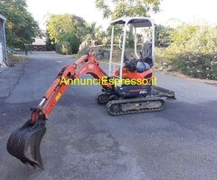 Miniescavatore