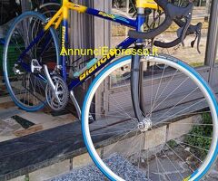 Bicicletta da corsa Bianchi Alloy Pro 7000
