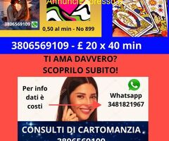 ? Cerchi risposte sincere e chiare?