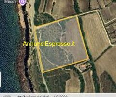 Terreno coltivabile mq20000 Privato