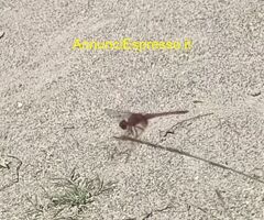 Una domanda per conoscersi