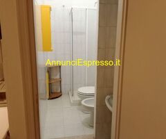 Affitto monolocale Loreto mq30 numero localiuno