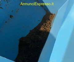 TRAMOGGIA CON COCLEA FLESSIBILE