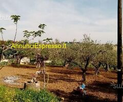 Terreno edificabile mq906 Privato