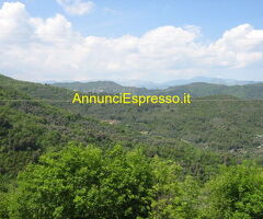Terreno coltivabile mq3250 Privato