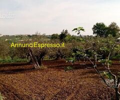 Terreno edificabile mq906 Privato