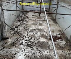 BARTOLETTI RIMORCHIO BARTOLETTI RIBA