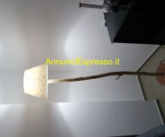 Vendesi piantana artigianale in legno d'ulivo