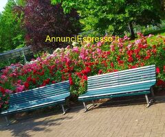 Affitto monolocale ideale pervisitare una nuova città mq40 numero localiuno