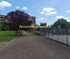 Affitto monolocale ideale pervisitare una nuova città mq40 numero localiuno