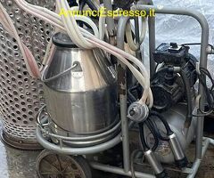 MUNGITRICE USATA DOPPIO GRUPPO PER BOVINI  CARRELL