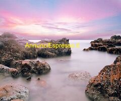 Abicert cerca  Impiegata Lingua Tedesca nel settore Ingegneria - Architettura con  esperienza