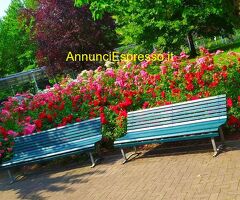 Affitto monolocale ideale pervisitare una nuova città mq40 numero localiuno