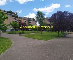 Affitto monolocale ideale pervisitare una nuova città mq40 numero localiuno