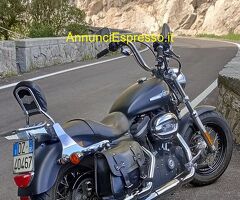 HARLEY-DAVIDSON 1200 Denim limited Custom