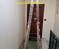 MOTOSEGA DELLA HOMOLITE LAMA 45 + SCALA TRASFORMAB