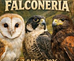 CorsoCorso di introduzione alla falconeria