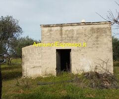 Affitto terreno non edificabile mq8000 Privato