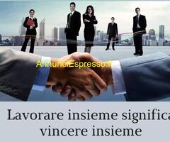 Edmeo Nicchio cerca  Consulente nel settore Commercio con  esperienza