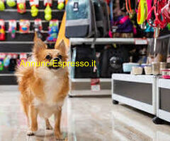 Negozio CENTRO MILANO mq66 Professionale