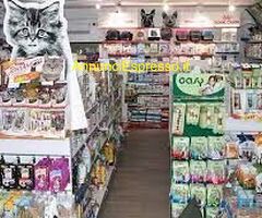 Negozio CENTRO MILANO mq66 Professionale