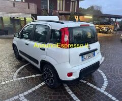 FIAT Panda 3ª serie Panda III 2021 1.0 firefly hybrid S Utilitaria