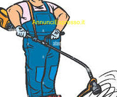 Con esperienza  cerco lavoro in settore Edilizia