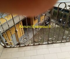 Affitto monolocale Loreto mq30 numero localiuno