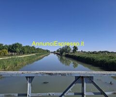 Tantra Le mie mani , la schiuma e tu con Viola