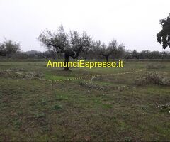 Terreno edificabile mq3635 Privato