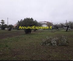 Terreno edificabile mq3635 Privato