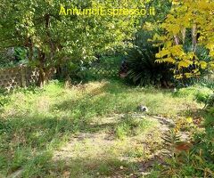 Appartamento mq68 Nuova costruzione secondo piano