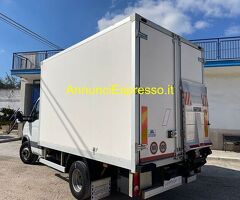 Cassa isotermica IVECO DAILY 65 C 18 ISOTERMICO