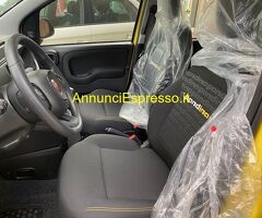 FIAT Panda 3ª serie MY 2025 Berlina