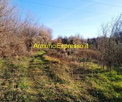 Terreno agricolo in zona Montecalvoli ( PI )