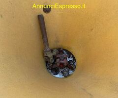 SPANDICONCIME SPTO 350 RONDINI USATO