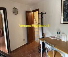 Affitto bilocale centrale mq50 numero localidue