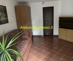 Affitto bilocale centrale mq50 numero localidue