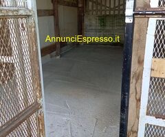 Affitto terreno non edificabile mq15 Privato