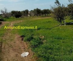Affitto terreno edificabile mq7900 Privato