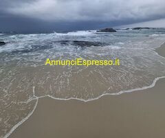 Massaggi Rituali Tantra e molto  con Viola