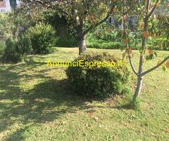 Affitto villa a 400 metri dal cent mq140 numero localiquattro