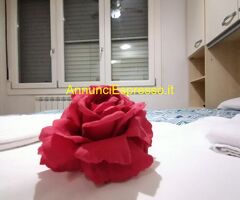 Affitto monolocale ideale pervisitare una nuova città mq28 numero localidue