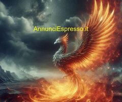 L'Architetto del Web: Oltre l'Algoritmo