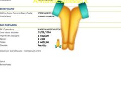 PRESTITO URGENTE RICEVUTO