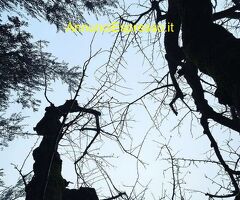 TI  UNA PRIMA CONOSCITIVA GRATUITA