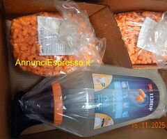 DISPENSER PER TAPPI AURICOLARI 3M