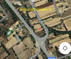 Terreno coltivabile mq1000 Privato